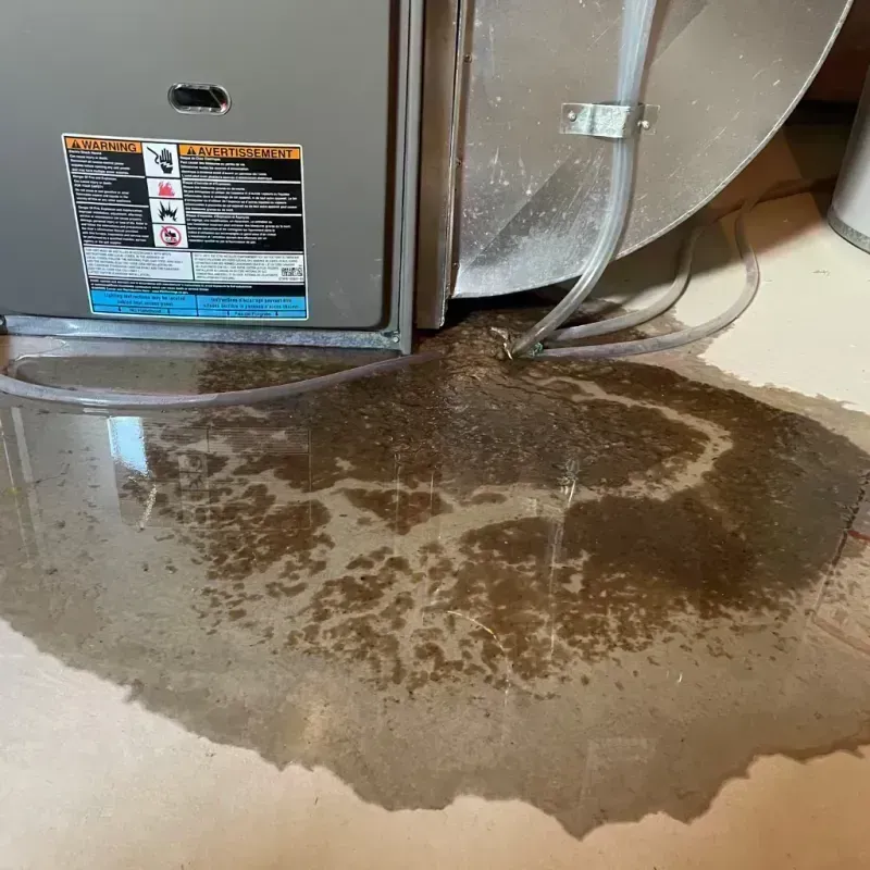 Appliance Leak Cleanup in Tiki Island, TX